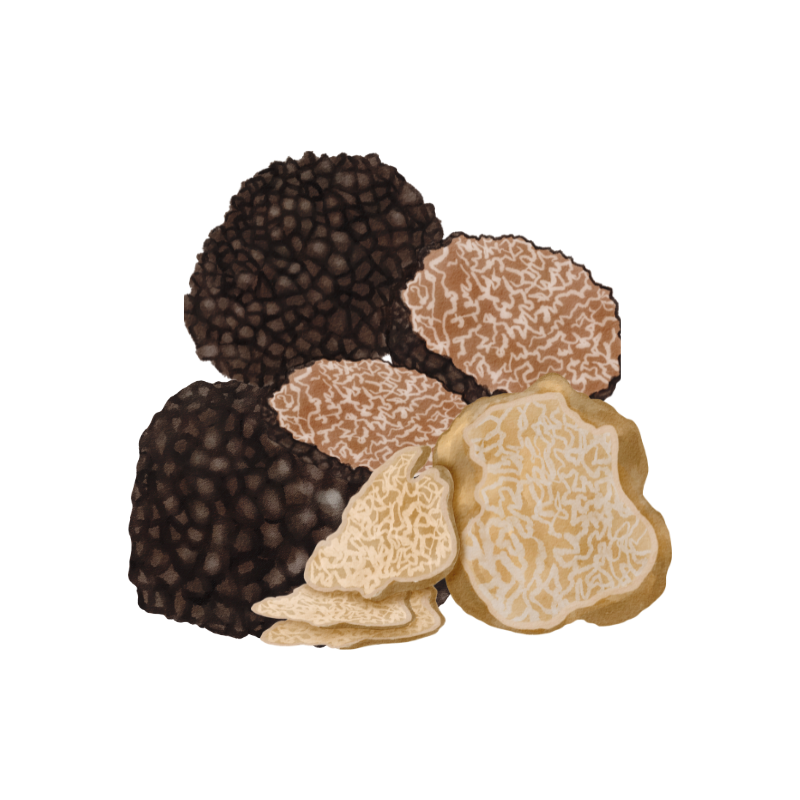 Truffles